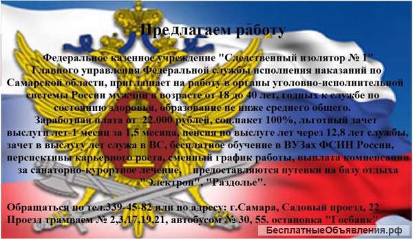 Младший инспектор отдела охраны