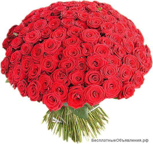 Розы оптом и в розницу
