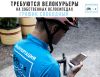 Велокурьеры, курьеры