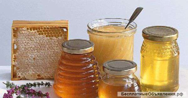 Все виды меда пчелосемьи прополис