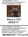 Заправка картриджей на месте,ремонт орг техники.
