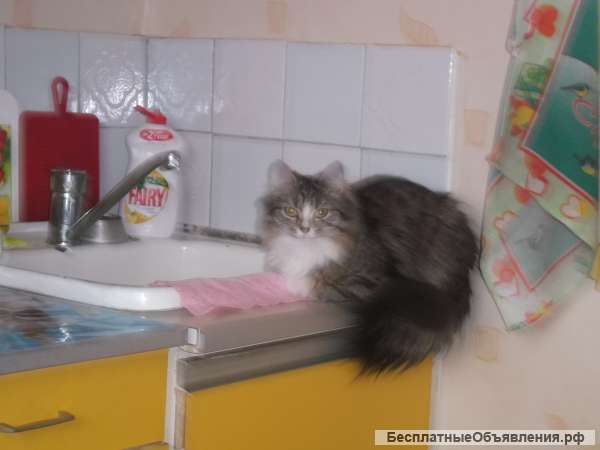 Сдам на длительный срок