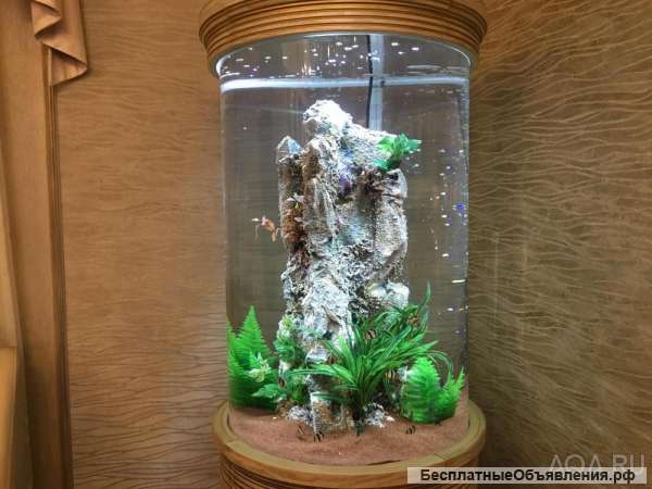 Шикарный аквариум Marvelous с большим цилиндром