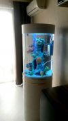 Оригинальный аквариум marvelous aqva на 150 л