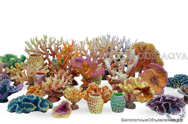 Оформление вашего аквариума - кораллы