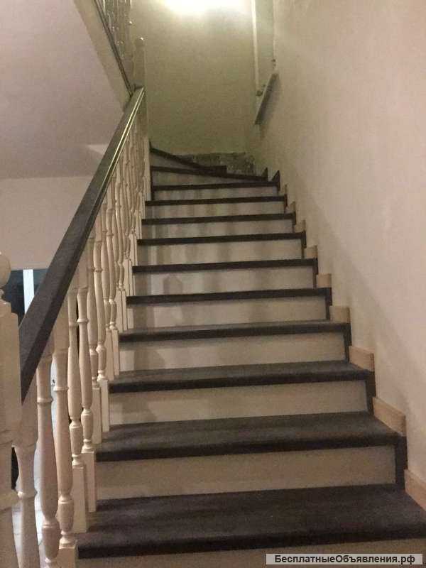 Лестницы из бука