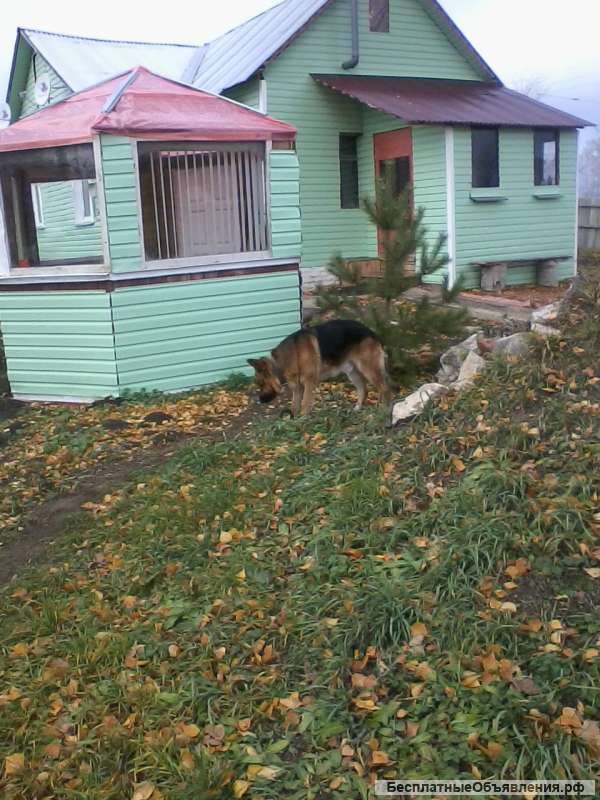 Жилой дом с земельным участком