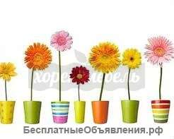 Фартук для кухни "Герберы" 600х3000х1,5 мм