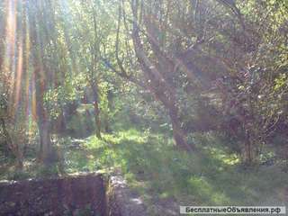 Земли в Сочи на Леселидзе