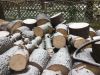 Отдам бесплатно распил сосны
