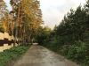 Красивый участок (сосны, ели), рядом Москва-река и г.Звенигород. 9 соток