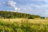 Зеленая Миля, Спицинский (Тульская обл.), 50 соток.