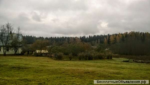 Участок 2 Га. на хуторе у соснового леса и речки, дом, баня, водопровод и газ.