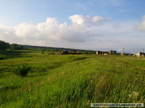 Новое Кузьмищево, Башино, 8 соток