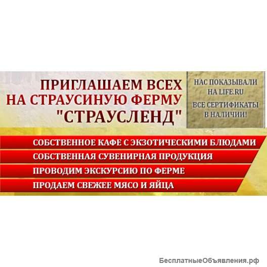 Страусленд - страусиная ферма приглашает вас в гости