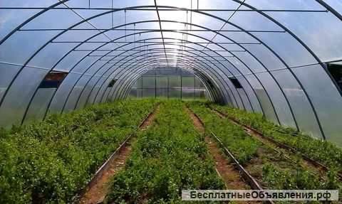 Теплицы, парники, виноградники