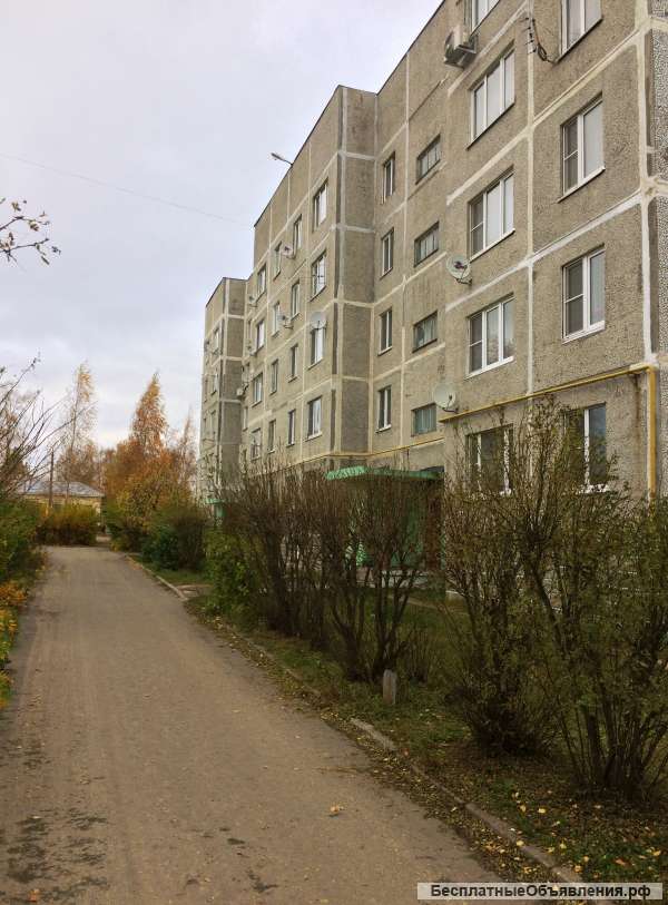 3-х комнатная квартира, д. Селиваниха