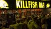 Франшиза бар Killfish