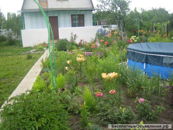 Дачу в Воронеже