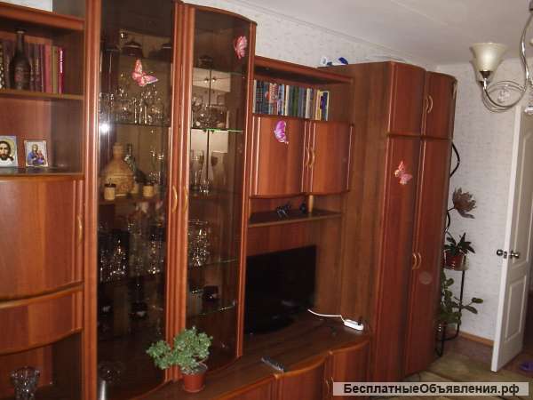 Сдам квартиру 1 комнатную