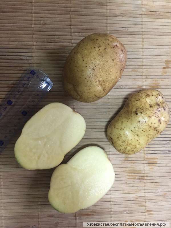 Картофель желтых сортов из Беларуси