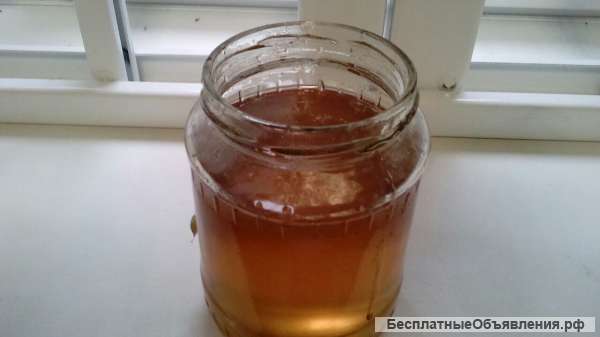 Мед Донниковый
