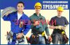 Требуются электрики