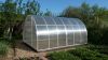 Теплица дачная