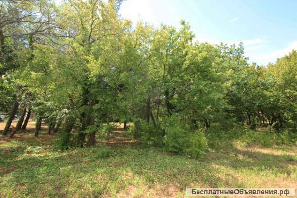 Участок под аппартотель