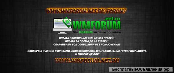 Программист на форум