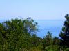 Меняю земельный участок в г.Алупка Крым на квартиру в Москве