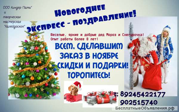 Дед Мороз и Снегурочка -на дом, на елку, на корпоратив