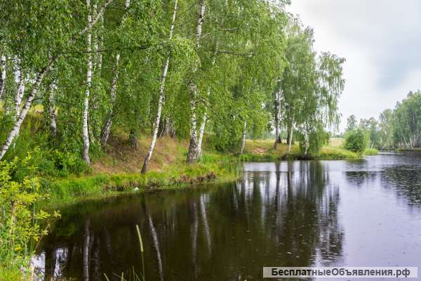 Горки, Семеновское, 11 соток 470 000 руб