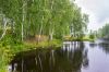Горки, Семеновское, 11 соток 470 000 руб