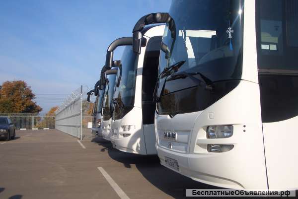 Аренда автобуса от 10 до 50 мест