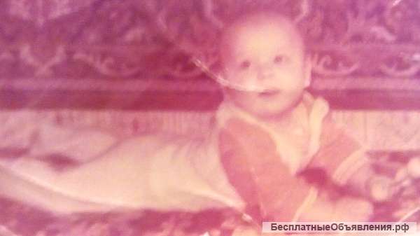 Газель тент, изотерм и Камаз