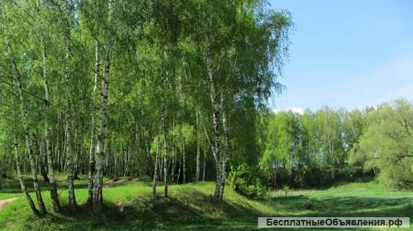 Участок ИЖС. 9 Соток.