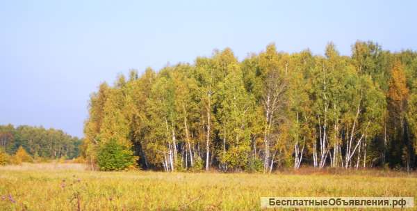 Участок 8 соток ИЖС