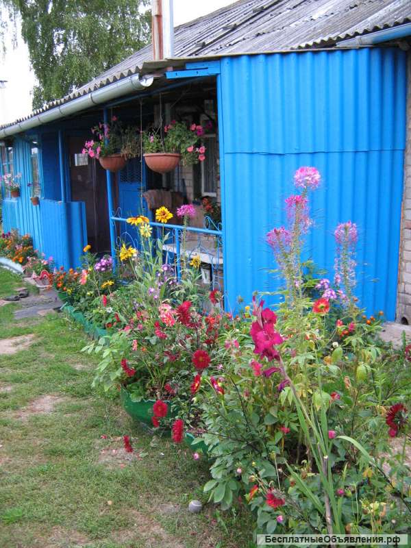 Кирпичный дом