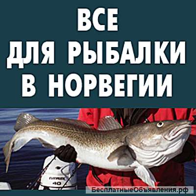 Все для морской рыбалки в Норвегии