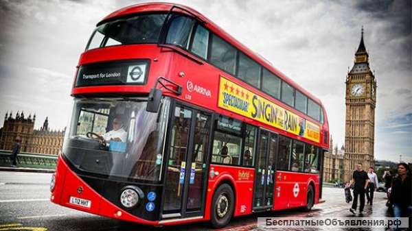 Школа иностранных языков "SLED"