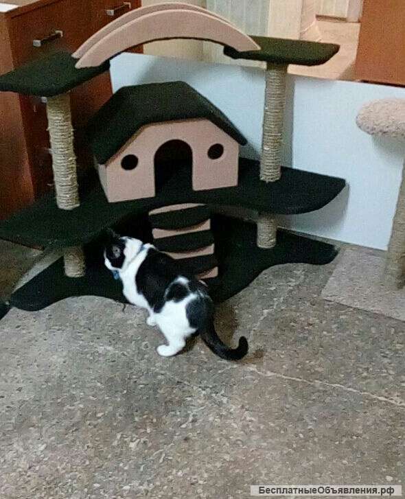 Домик для кошечки