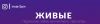 Быстрая, качественная и недорогая раскрутка в Инстаграм