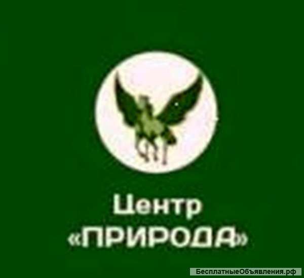 Уничтожение клопов Челяб