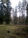 В Приозерском р. 12 сот зем.уч.