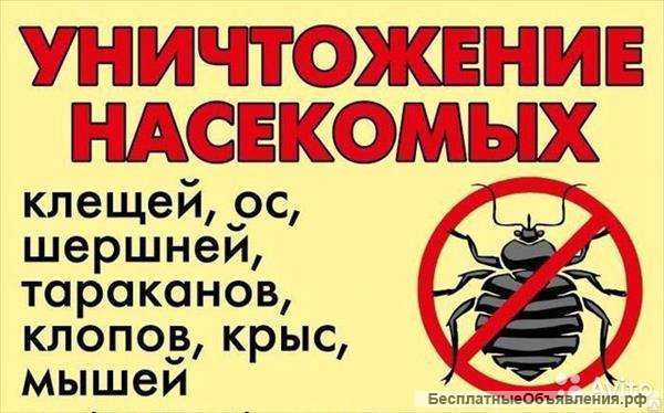 Клопы тараканы блохи муравьи шершни клещи мыши крысы травить уничтожить