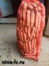 Морковь от производителя, оптом и в розницу