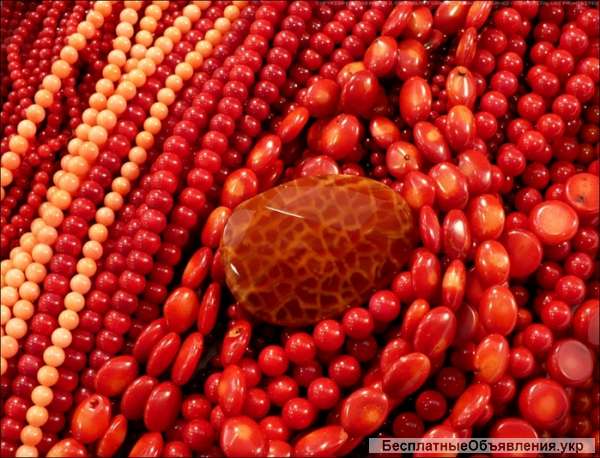 Куплю янтарь, коралл, в изделиях