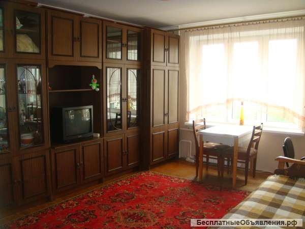 Однокомнатная квартира в Москве