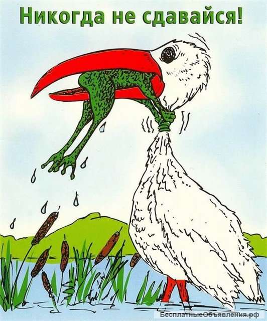 Наше Дело- журналистские расследования +общественный резонанс